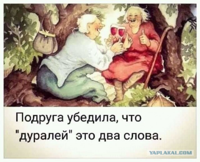 Картинки с надписями и анекдоты 27.7.19