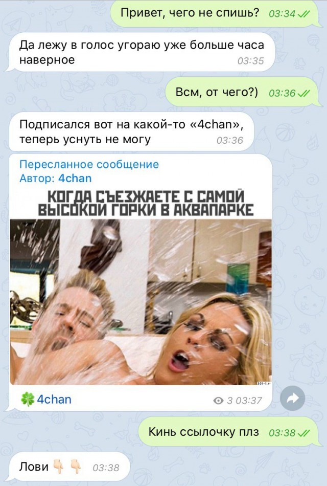 Скотсети и прочие интернеты 06.12.19