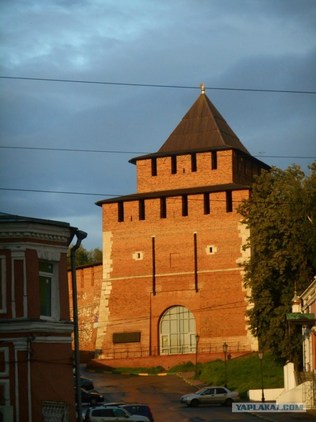 Упоротость