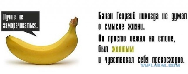 Вопрос обнаглевшим женщинам от нормального мужчины