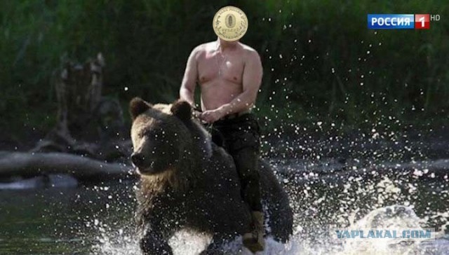 Обнулилось все