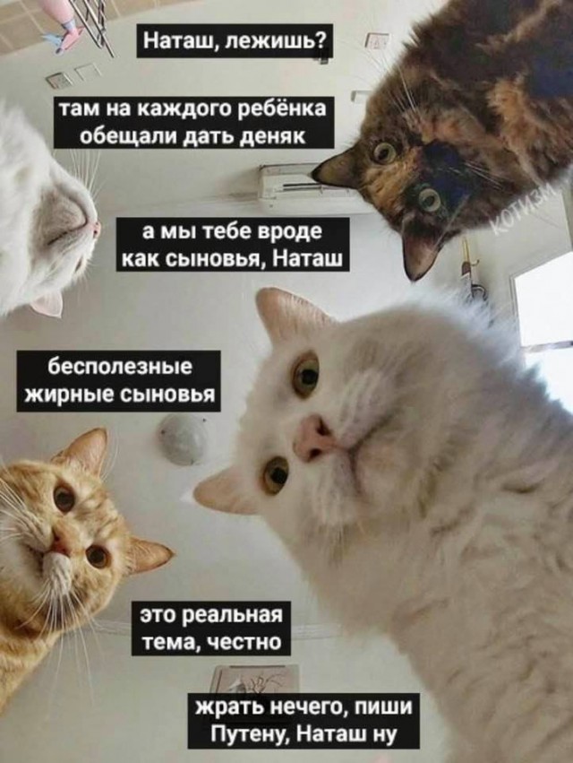 Так себе картинки 14.05.20