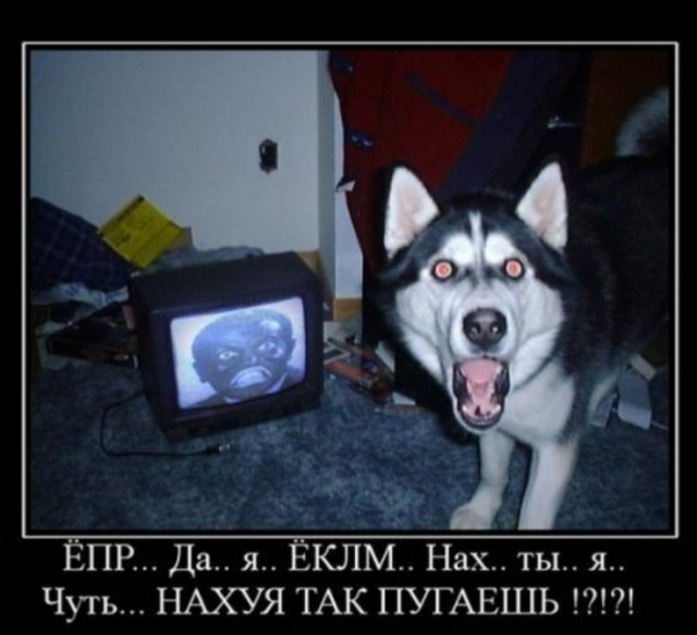 Бредзона 17.07.2020