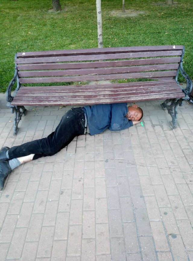 Скотсети и прочие интернеты 19.08.2020