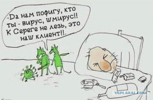 Бредзона 06.11.2020