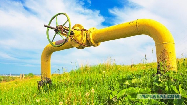 Коррупция в триллионы рублей и блокировка газификации в нашей стране.