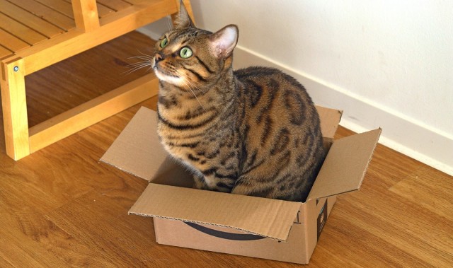 Моя красотка