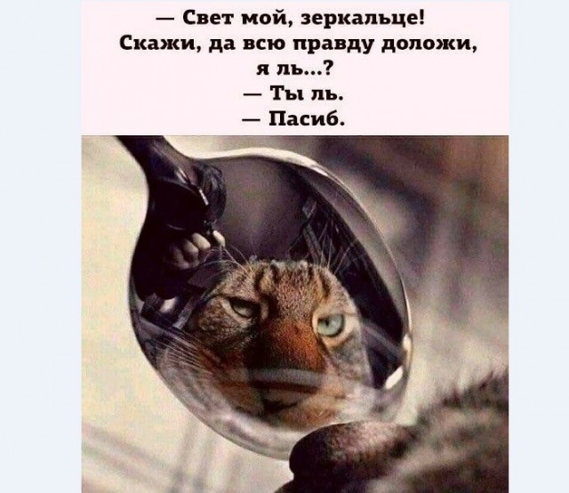 Картинки и мемы для настроения 009