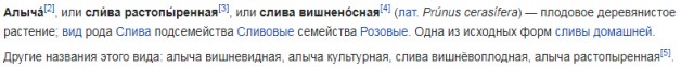 Ростовский язык