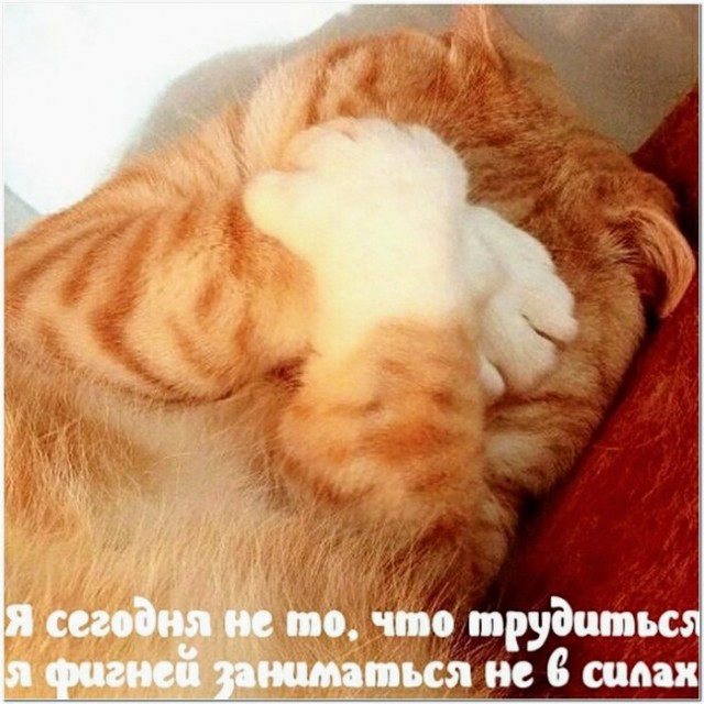 Картинки и мемы для настроения 015