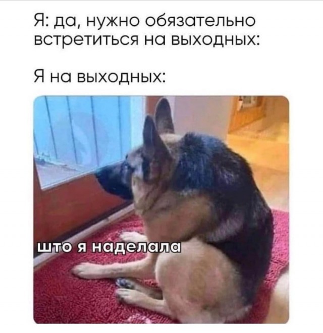 Веселые картинки отовсюду 23.02.21