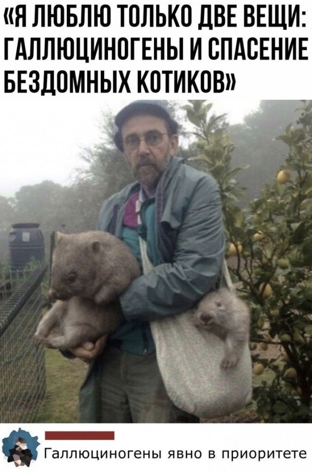 Так себе картинки 24.05.21