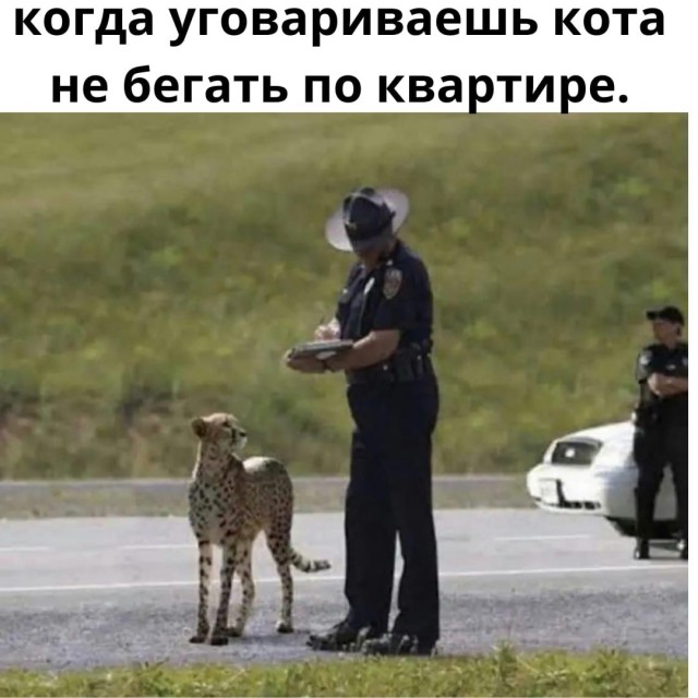 Так себе картинки 12.09.21