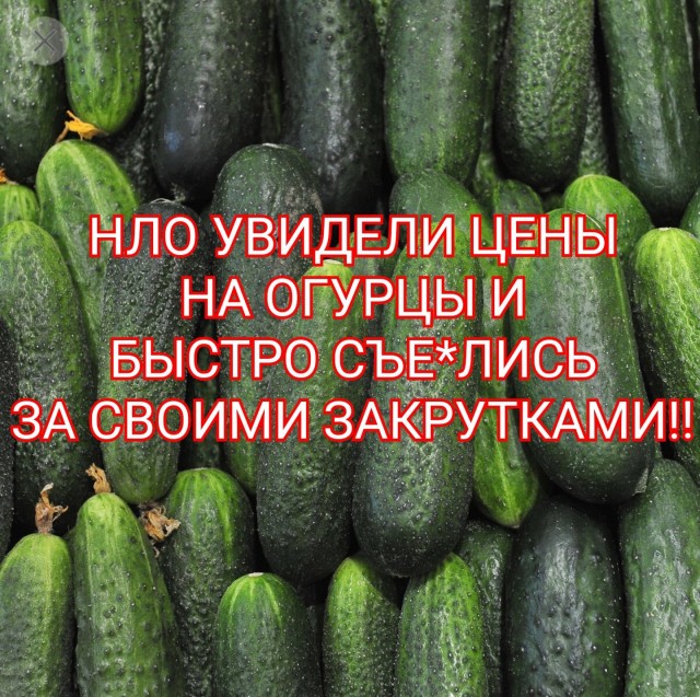 Почему инопланетяне улетают с Земли?