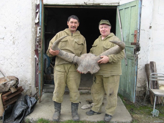 Дороги крайнего севера