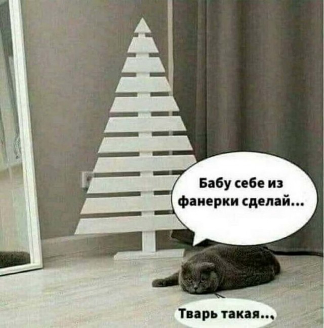 Картинки и мемы для настроения 28.12.2021