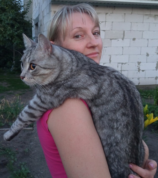 Девушки котовторника