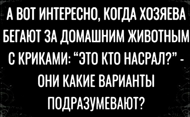 Баянисто-небаянистый юмор 4.03.22
