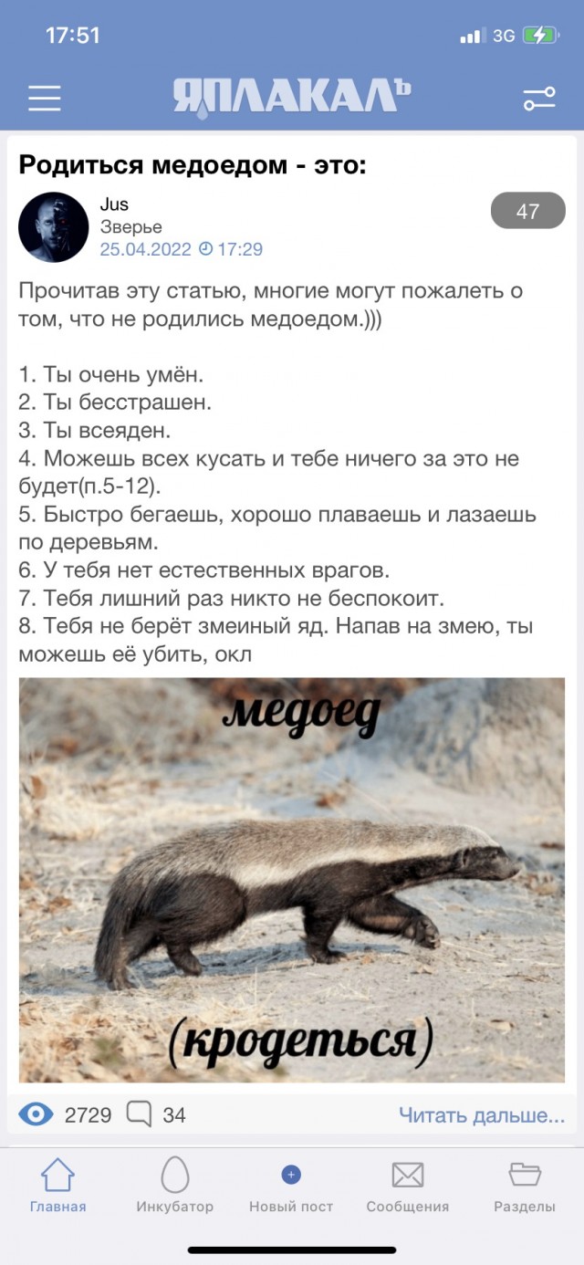 Родиться медоедом - это: