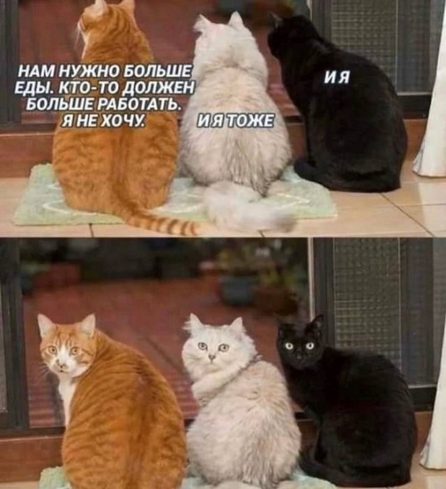Картинки с надписями и всякие жизненные фразы