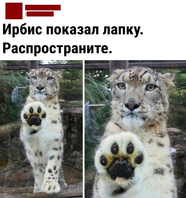 Так себе картинки 03.05.22