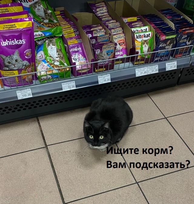 Чуток картинок 13.06.22