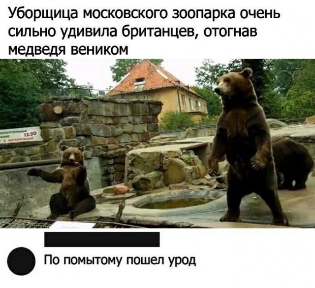 Забавные комментарии из Сети 19.06.22