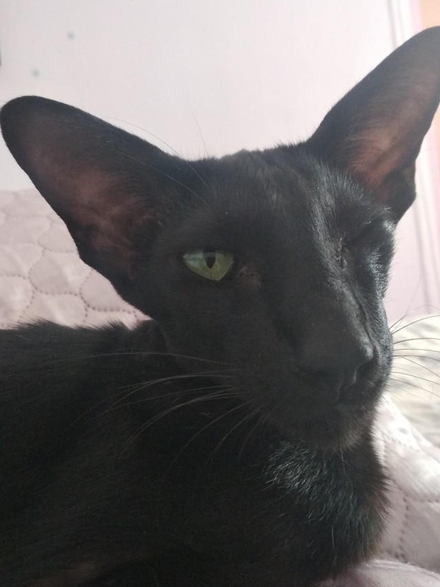 Приехал с работы домой, а тут...вот