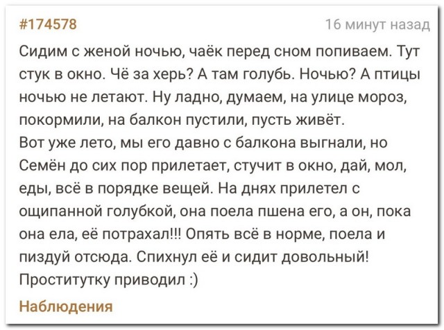Так себе картинки 06.09.22