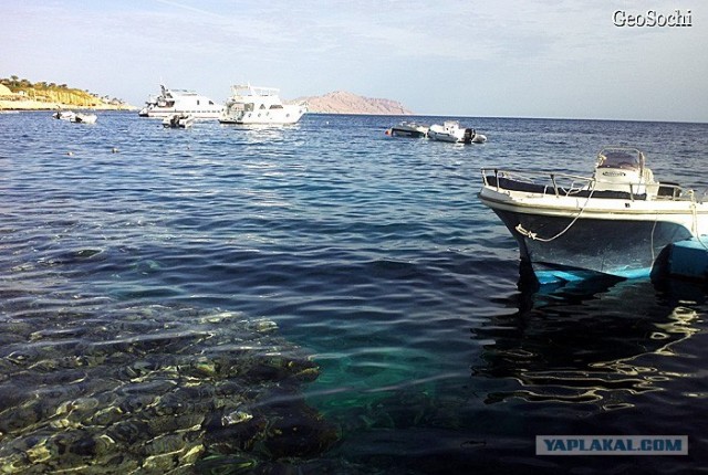 Синайские приключения. Шарм-эш-Шейх и окресности