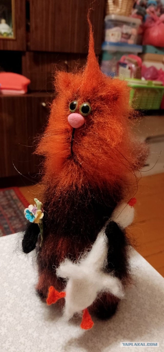 Реально ШЕРСТЯНОЙ котовторник!