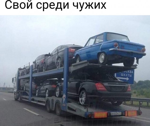 Картинки и мемы для настроения - 131