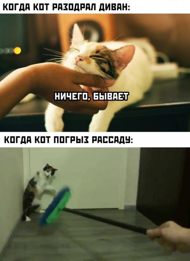 Немного картинок для настроения - 155