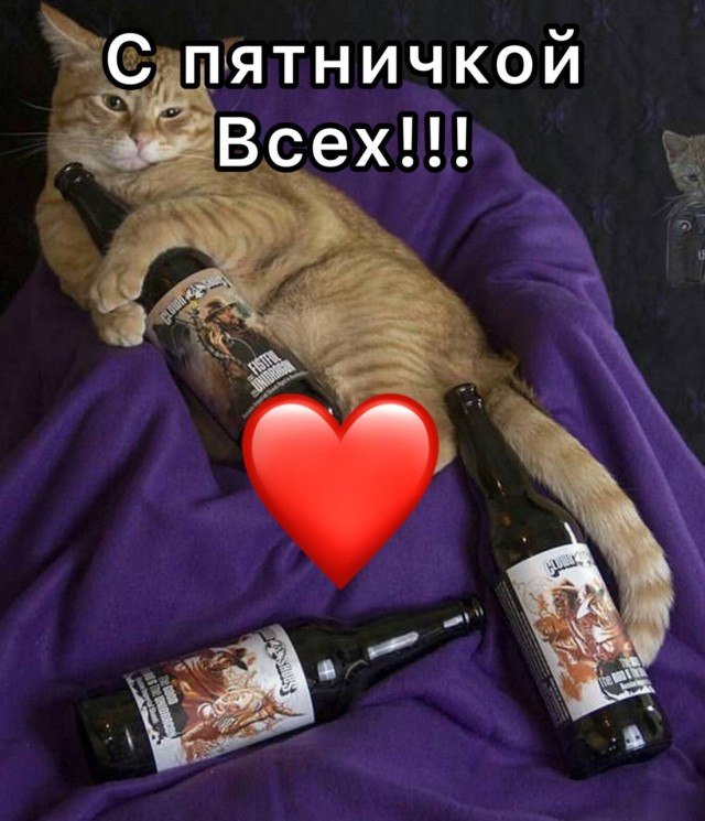 Картинки и мемы, всем хороших выходных