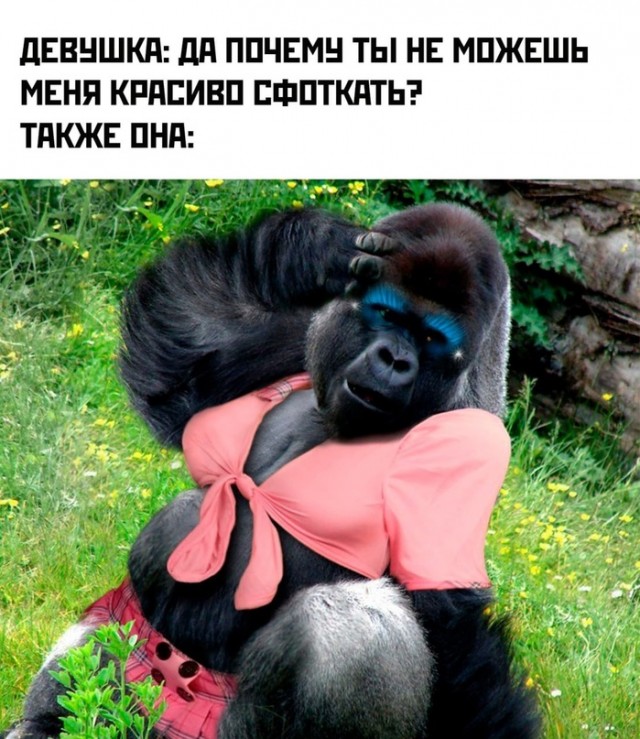 Картинки и мемы, всяко - 169
