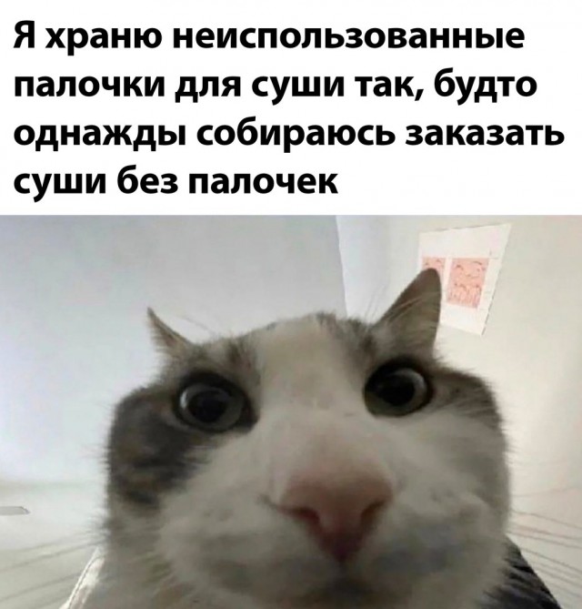Забавные комментарии из социальных сетей (22.05.23)
