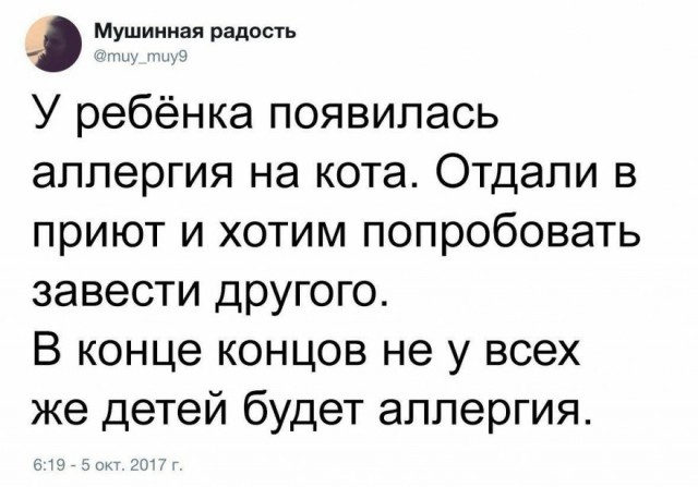 Картинок вам в серые трудовыебудни