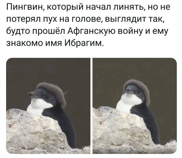 Народная меДИЧина 9005