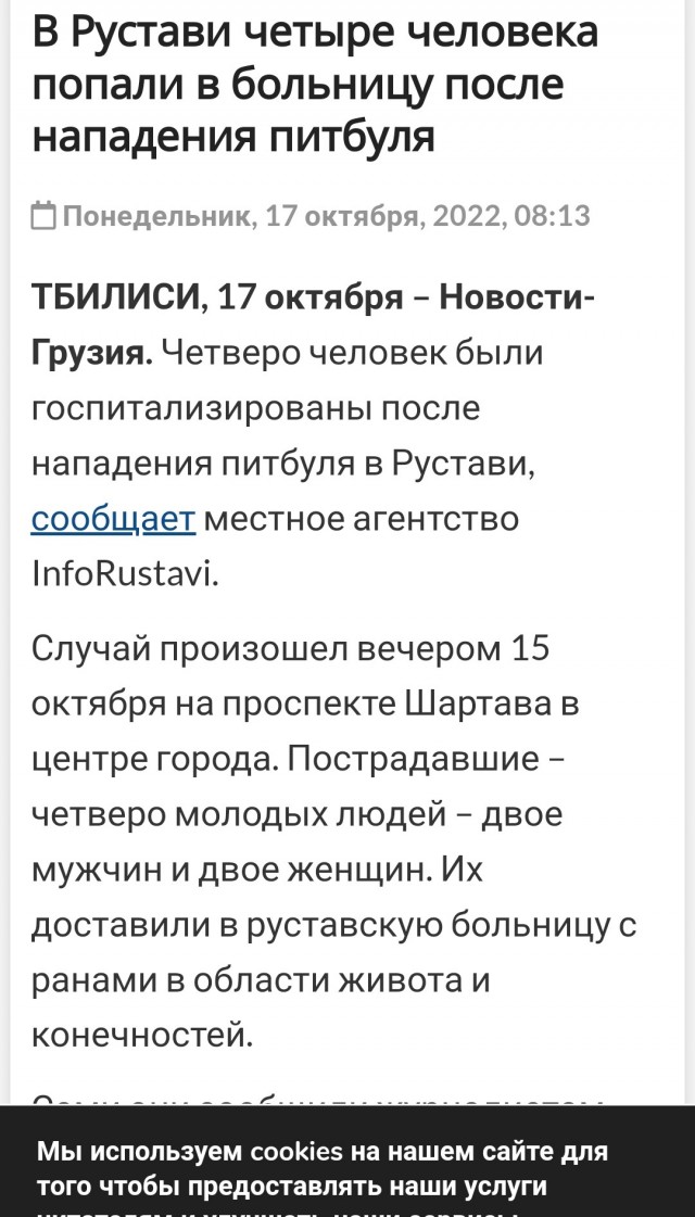 Три стаффа загрызли мальтипу на руках у девушки, пока хозяин лежал рядом