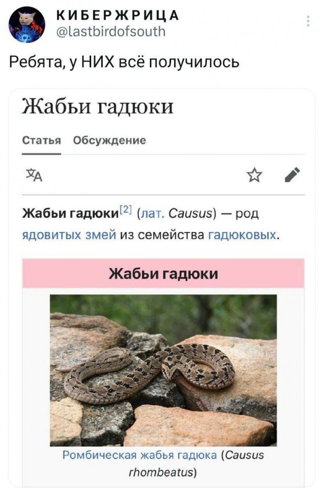 Улыбательные картинки...