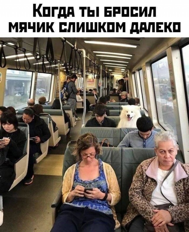 Так себе картинки 28.07.23