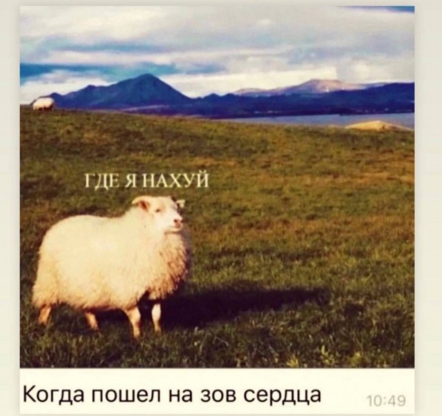 Так себе картинки 08.08.23