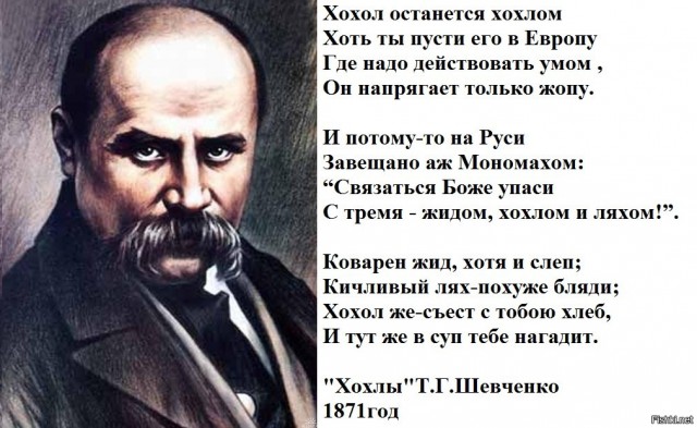 Что в голове у этих гостей?