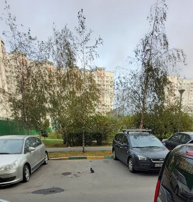 Сколько можно бронировать места для авто?!