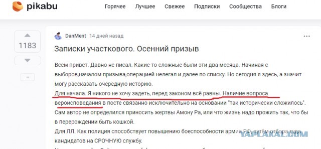 Записки участкового. Осенний призыв