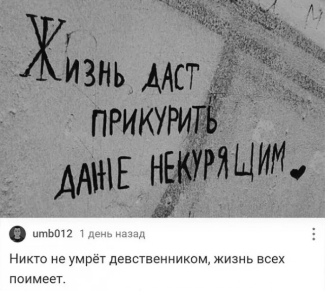 Приколы с налетом деградации в пятницу