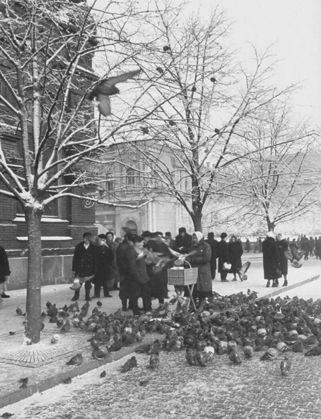 Москва зимняя и новогодняя. Часть третья