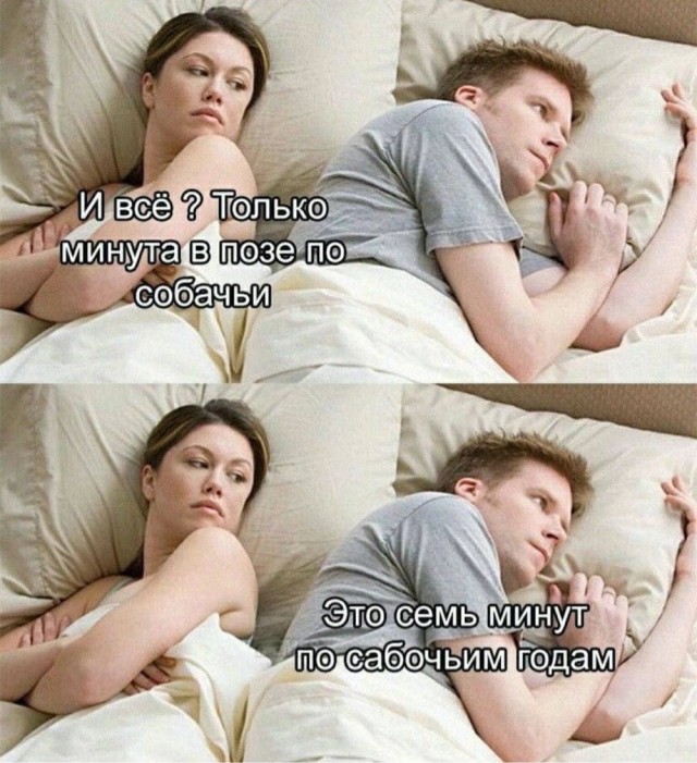 Котики, панки и дестрой