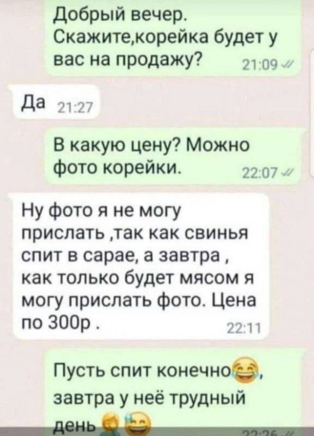 Чуток картинок 10.02.24