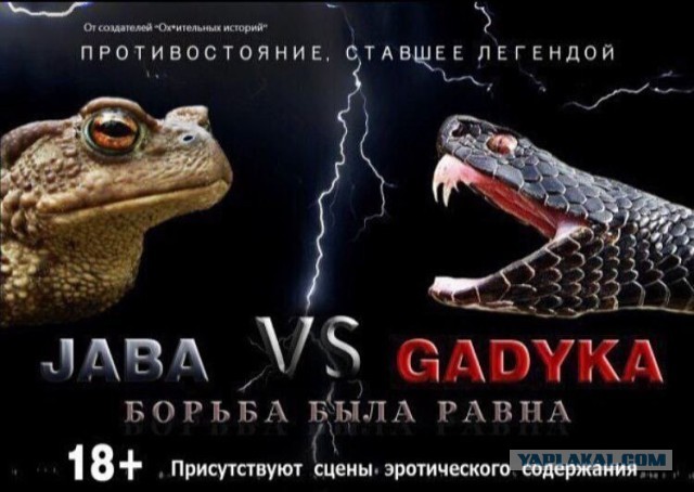 Собчак заявила, что подаст в суд на НТВ